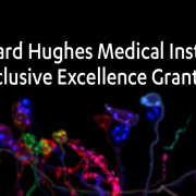 HHMI Inclusive Excellence Grantee logo