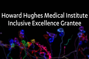 HHMI Inclusive Excellence Grantee logo