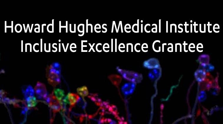 HHMI Inclusive Excellence Grantee logo